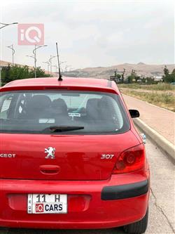 بيجو 307